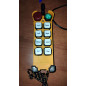 Desbrozadora Profesional GEODESICAL AG-02 Control Remoto